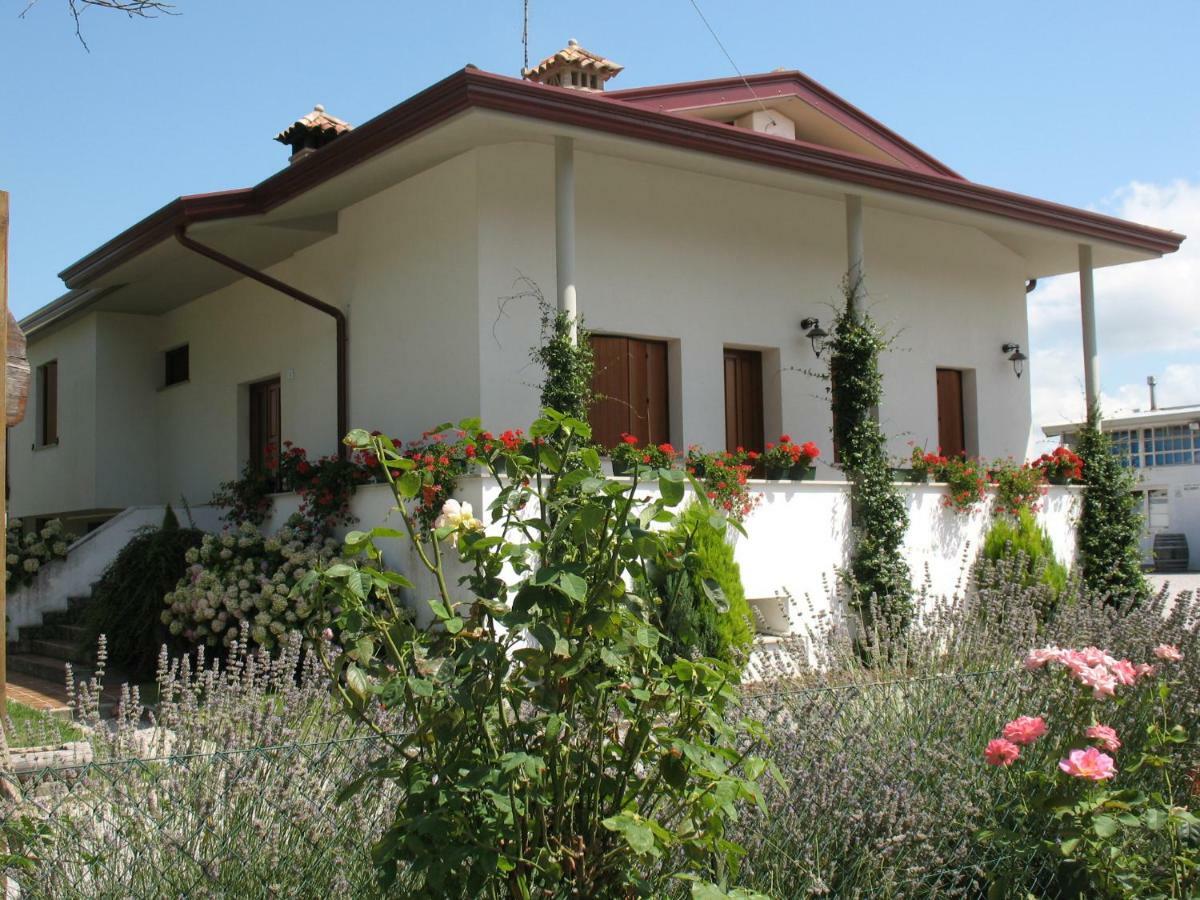Agriturismo Ballaminut Terzo d' Aquileia Dış mekan fotoğraf